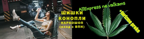 СК Алексин
