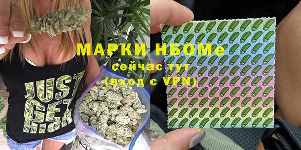 СК Алексин