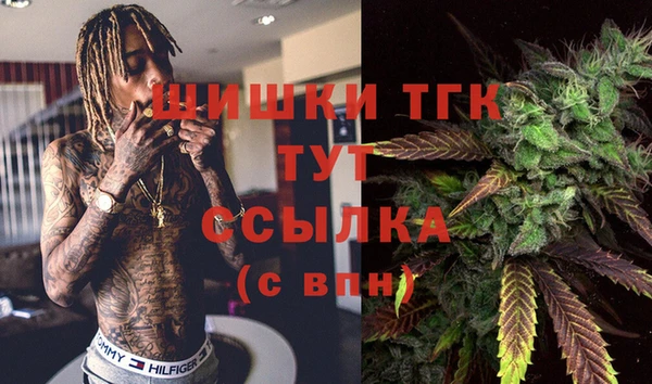 прущие крисы Алзамай