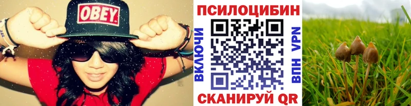 что такое наркотик  Миллерово  Галлюциногенные грибы прущие грибы 